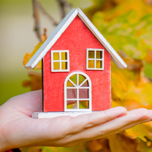 THUMB_Even though in Florida we don’t have a dramatic shift in weather, t...